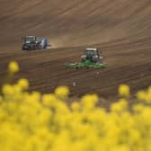 Agriculture is a significant source of carbon emissions (Picture: Oli Scarff/AFP via Getty Images)