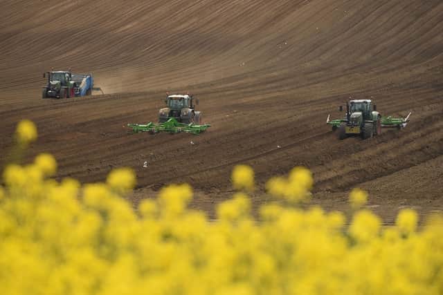 Agriculture is a significant source of carbon emissions (Picture: Oli Scarff/AFP via Getty Images)