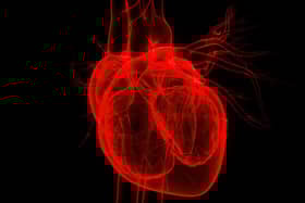 3D Illustration Concept of Human Internal Organs Circulatory System Heart Anatomy