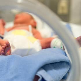 Help raise funds for premature babies.