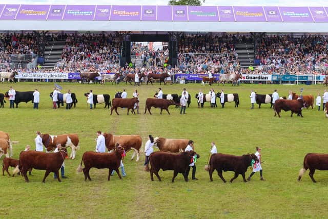 Royal Highland Show livestock parade