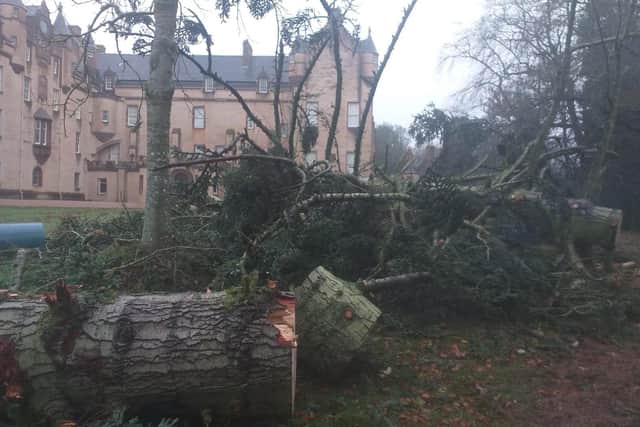 National Trust for Scotland sites in the north-east of Scotland and the Scottish Borders were worst hit by Storm Arwen