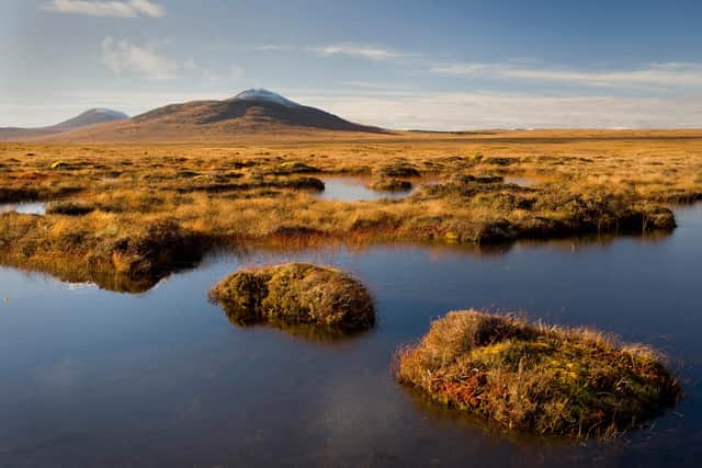 Restoration of Scotland's globally important peatlands is one of the measures laid out in a new 11-point nature recovery plan to help the country get back on its feet as coronavirus restrictions are eased