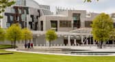 A reader says Holyrood is 'a parliament of the parties rather than a parliament of the people' (Picture: stock.adobe.com)