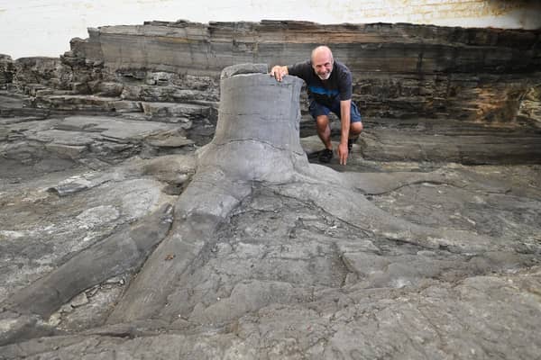 David Webster of The Fossil Grove Trust at Fossil Grove, Victoria Park, Glasgow. The tree stumps stand where they were formed 325 million years ago when land that is now Glasgow was found close to the equator, near Brazil. The fossils are now being damaged give the decaying building where they stand. PIC: John Devlin.
