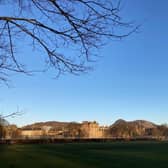 Photo of the Meadows