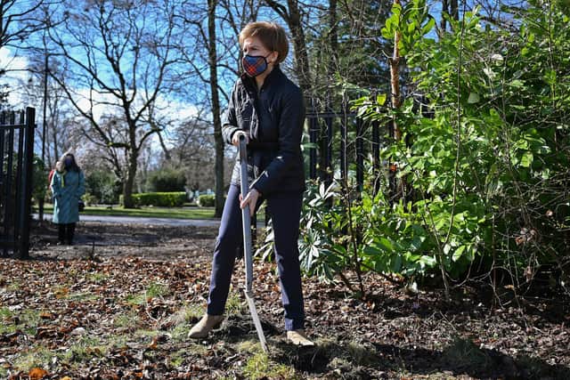 Scotland's First Minister Nicola Sturgeon, leader of the Scottish National Party, plants flowers in a community garden in Rutherglen. Photo by Jeff J Mitchell/Getty