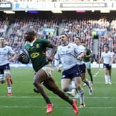 Makazole Mapimpi of South Africa goes over to score their side's second try against Scotland. (Photo by Ian MacNicol/Getty Images)