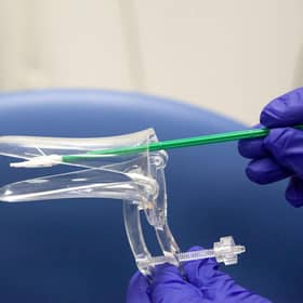 The speculum and soft brush they use for the smear test