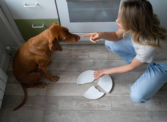 Some breeds of dog are more likely to accidentally cause damage than others.