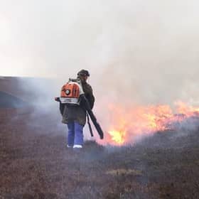 Muirburn, controlled burning in cooler months, can help reduce the risk of wildfires