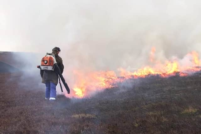 Muirburn, controlled burning in cooler months, can help reduce the risk of wildfires