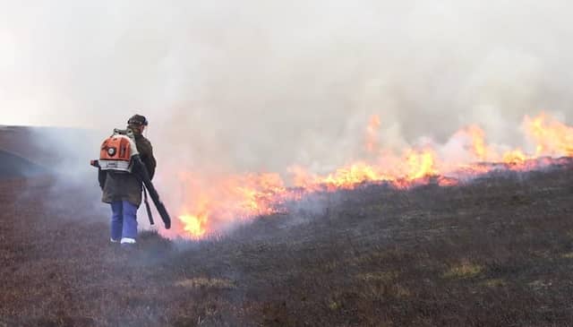 Muirburn, controlled burning in cooler months, can help reduce the risk of wildfires