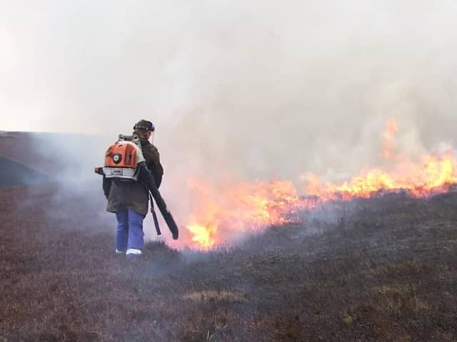 Muirburn, controlled burning in cooler months, can help reduce the risk of wildfires