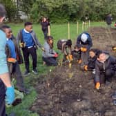 Young school children help plant trees as part of Wee Forests project (Photo: Scottish Government).