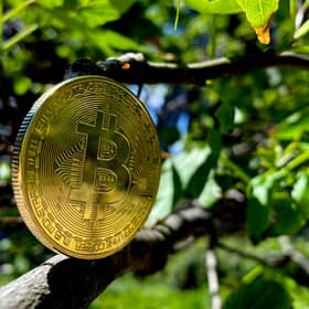 A visual representation of Bitcoin cryptocurrency. Picture: Edward Smith/Getty Images