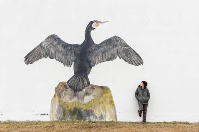 Mural of a cormorant by artist Jean Larson in Flateyri. Pic: PA Photo/Renato Granieri.