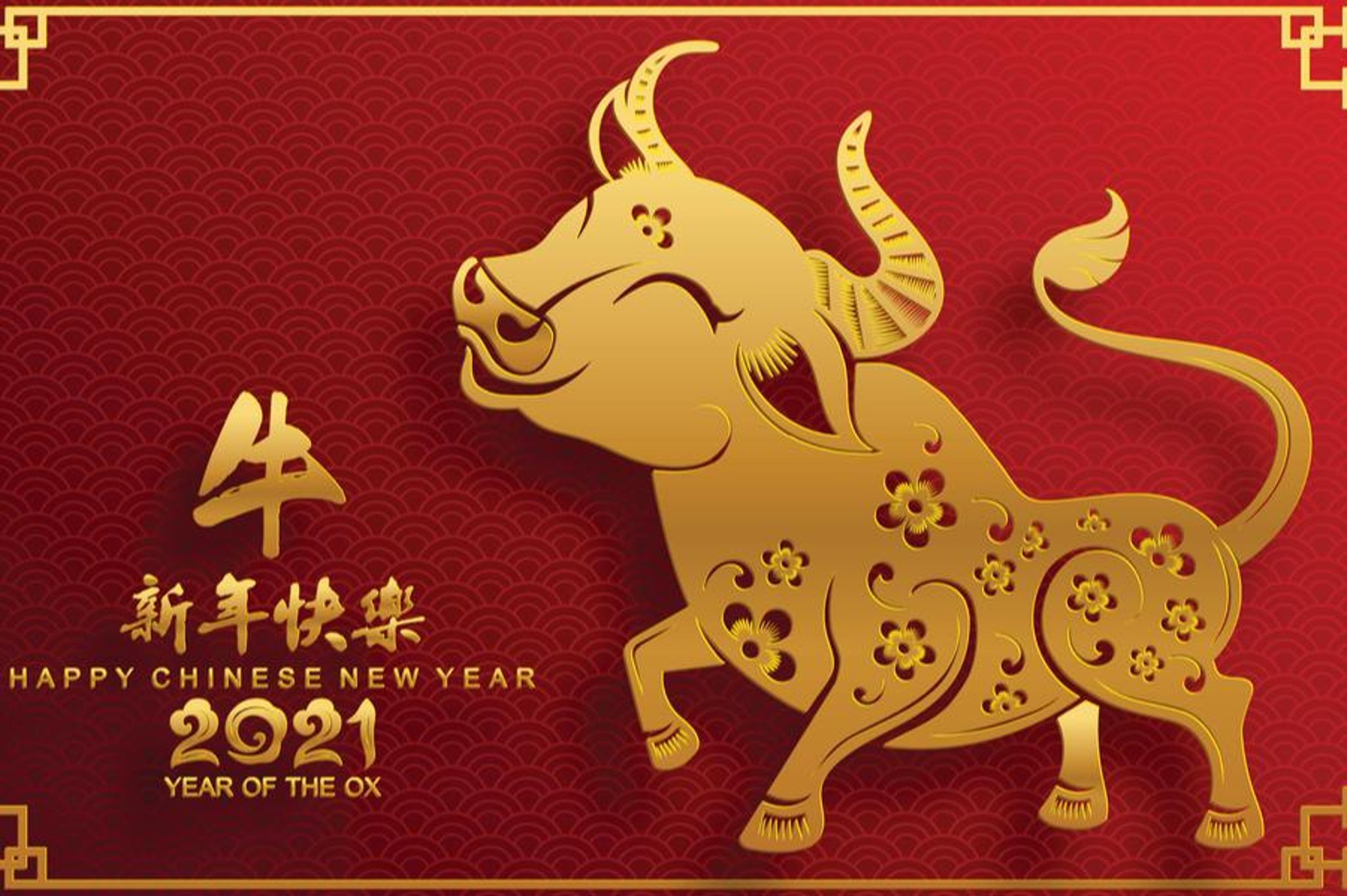 Chinese New Year 21 When Is The Lunar New Year What Does The Year Of The Ox Mean And Chinese Traditions The Scotsman
