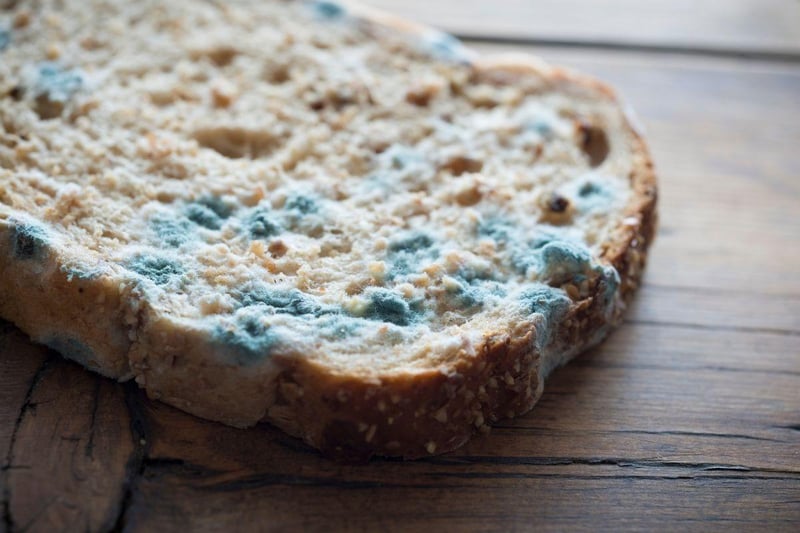 Mycotoxin is the mould that grows on out of date bread and other foodstuffs, and is toxic to canines. Symptoms include vomiting, diarrhoea, restlessness, disorientation, tremors, seizures, high fever, jaundiced appearance and abdominal pain. 62 per cent of people were unaware of its toxicity.