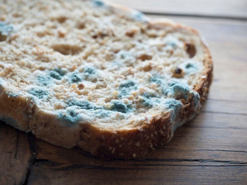 Mycotoxin is the mould that grows on out of date bread and other foodstuffs, and is toxic to canines. Symptoms include vomiting, diarrhoea, restlessness, disorientation, tremors, seizures, high fever, jaundiced appearance and abdominal pain. 62 per cent of people were unaware of its toxicity.