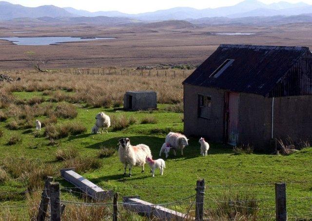 SNP ministers pursue Scottish visa plan in bid to reverse rural depopulation