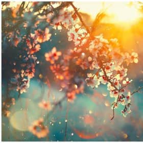 This year the spring equinox occurs on Friday 20 March. It marks the moment when the sun crosses the earth’s equator, and day and night become equal lengths of time.