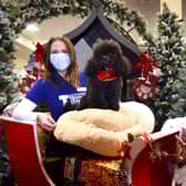 Grace Higgins, Senior Relationship Manager from TCT was invited to meet Freddie the Poodle, the star of the Dobbies’ Christmas advertising campaign, at Dobbies’ Santa Paws event