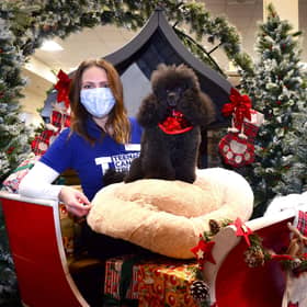 Grace Higgins, Senior Relationship Manager from TCT was invited to meet Freddie the Poodle, the star of the Dobbies’ Christmas advertising campaign, at Dobbies’ Santa Paws event