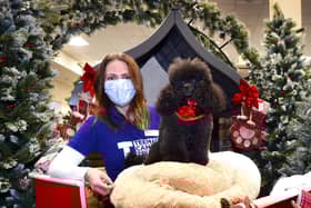 Grace Higgins, Senior Relationship Manager from TCT was invited to meet Freddie the Poodle, the star of the Dobbies’ Christmas advertising campaign, at Dobbies’ Santa Paws event