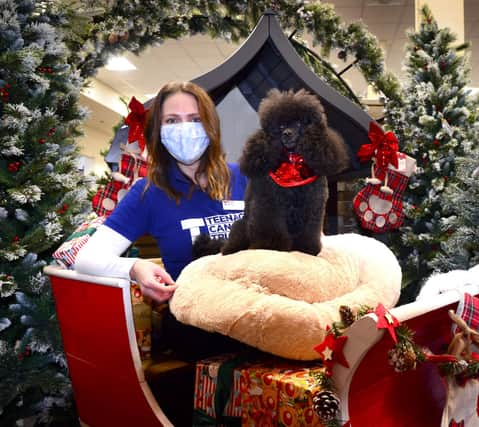 Grace Higgins, Senior Relationship Manager from TCT was invited to meet Freddie the Poodle, the star of the Dobbies’ Christmas advertising campaign, at Dobbies’ Santa Paws event