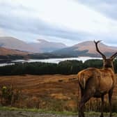 Some of the best quotes about Scotland (Photo: Shutterstock)