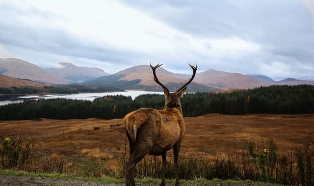 Some of the best quotes about Scotland (Photo: Shutterstock)