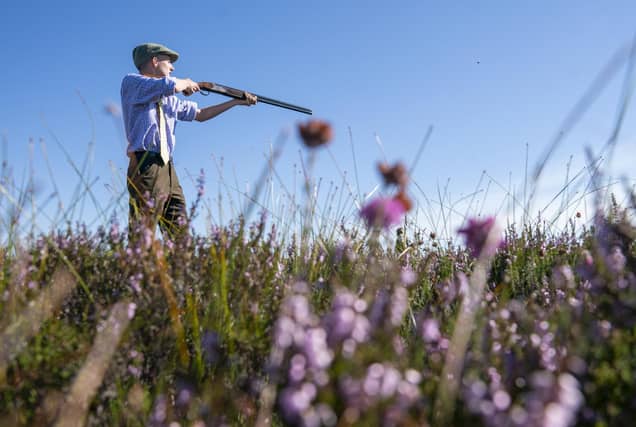 A member of a shooting party takes aim on the moors near Dunkeld earlier this year (Picture: Jane Barlow/PA)