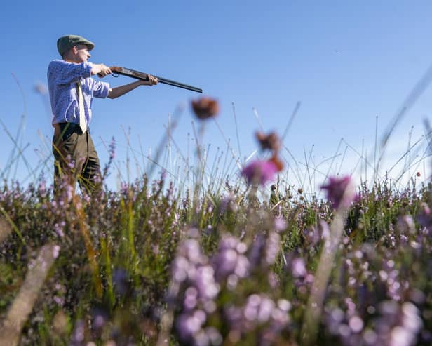 A member of a shooting party takes aim on the moors near Dunkeld earlier this year (Picture: Jane Barlow/PA)