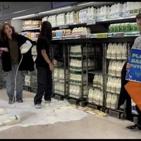 Animal Rebellion protestors tip milk over a supermarket floor in Edinburgh in the calls for a 'plant-based diet', but their tactics are hard to stomach, writes Stephen Jardine.