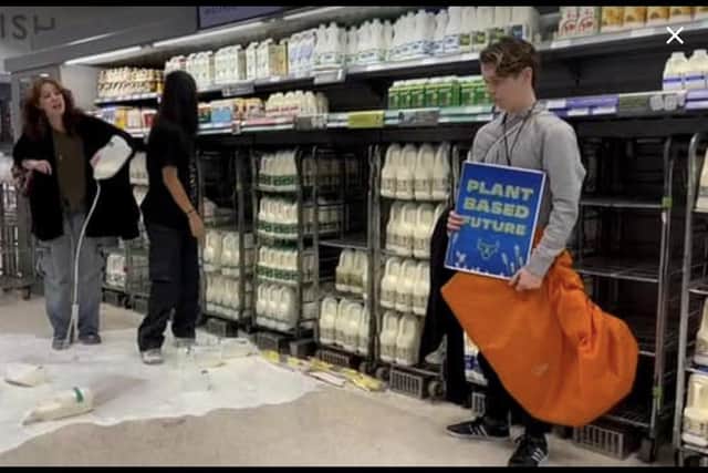 Animal Rebellion protestors tip milk over a supermarket floor in Edinburgh in the calls for a 'plant-based diet', but their tactics are hard to stomach, writes Stephen Jardine.