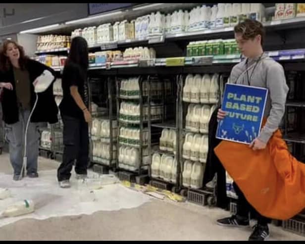 Animal Rebellion protestors tip milk over a supermarket floor in Edinburgh in the calls for a 'plant-based diet', but their tactics are hard to stomach, writes Stephen Jardine.