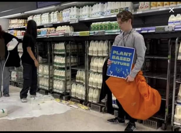 Animal Rebellion protestors tip milk over a supermarket floor in Edinburgh in the calls for a 'plant-based diet', but their tactics are hard to stomach, writes Stephen Jardine.