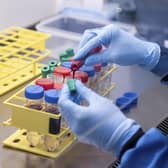 Blood samples from coronavirus vaccine trials are handled inside the Jenner Institute in Oxford (Picture: John Cairns, University of Oxford via AP)