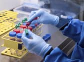 Blood samples from coronavirus vaccine trials are handled inside the Jenner Institute in Oxford (Picture: John Cairns, University of Oxford via AP)