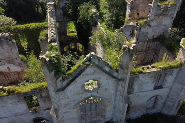Aerial footage clearly shows the decay of the Grade A listed building, with weeds and trees now forcing apart masonry . PIC:Kevin Rooney.