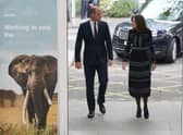 The Prince of Wales arrives at the United for Wildlife (UfW) Global Summit at the Science Museum in London. Picture date: Tuesday October 4, 2022. PA Photo. William is to deliver his first speech since the King bestowed him with his new title. See PA story ROYAL William . Photo credit should read: Jonathan Brady/PA Wire