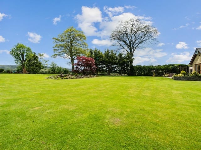 Rear garden.