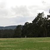 One of the standing stones at Upper Port which is set to be fenced off to protect it from grazing cows. PIC: Richard Webb/geograph.org.