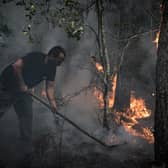 This year has seen record numbers of wildfires break out across Europe, with an area more than twice the size of Luxembourg left burned. Picture: Philippe Lopez/Getty Images