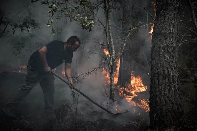 This year has seen record numbers of wildfires break out across Europe, with an area more than twice the size of Luxembourg left burned. Picture: Philippe Lopez/Getty Images