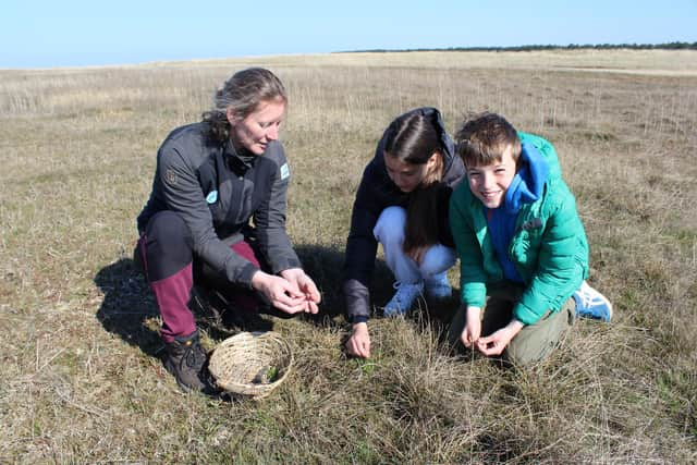 Foraging for herbs at the Wadden Sea National Park, Denmark. Pic: PA Photo/Josie Clarke.