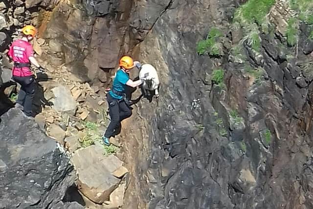 The Hebrides Mountain Rescue Team rescue a lamb stuck on cliffs on the Isle of Lewis.