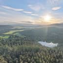 Glen Tanar Estate spans 25,000 acres of ancient Caledonian pine forests.