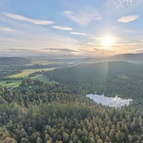 Glen Tanar Estate spans 25,000 acres of ancient Caledonian pine forests.